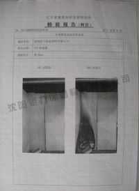 B1级检验报告 